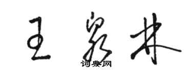 駱恆光王泉林草書個性簽名怎么寫