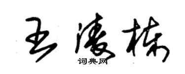 朱錫榮王凌棟草書個性簽名怎么寫