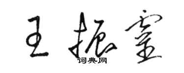 駱恆光王振靈草書個性簽名怎么寫