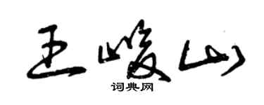 曾慶福王峻山草書個性簽名怎么寫