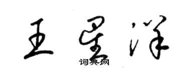 梁錦英王星洋草書個性簽名怎么寫