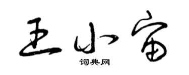 曾慶福王小宙草書個性簽名怎么寫