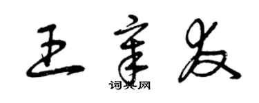 曾慶福王章友草書個性簽名怎么寫