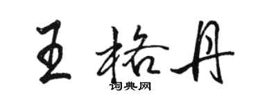 駱恆光王格丹行書個性簽名怎么寫