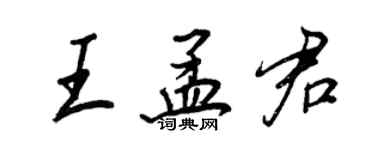 王正良王孟君行書個性簽名怎么寫