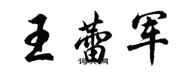 胡問遂王蕾軍行書個性簽名怎么寫