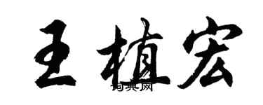胡問遂王植宏行書個性簽名怎么寫