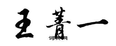 胡問遂王菁一行書個性簽名怎么寫