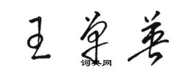 駱恆光王單英草書個性簽名怎么寫