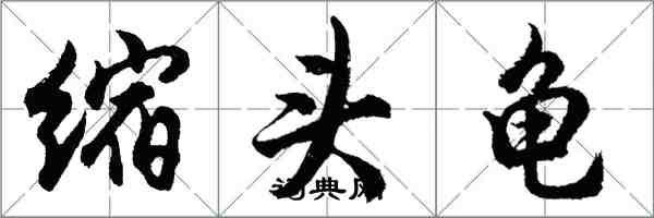 胡問遂縮頭龜行書怎么寫