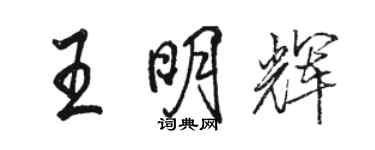 駱恆光王明輝行書個性簽名怎么寫