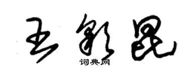 朱錫榮王彩昆草書個性簽名怎么寫