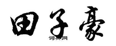 胡問遂田子豪行書個性簽名怎么寫