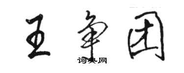 駱恆光王爭團行書個性簽名怎么寫