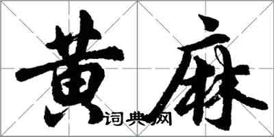 胡問遂黃麻行書怎么寫