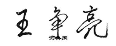 駱恆光王爭亮行書個性簽名怎么寫