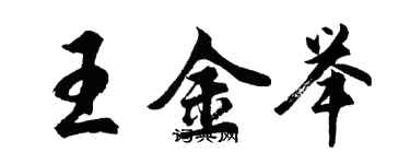 胡問遂王金舉行書個性簽名怎么寫