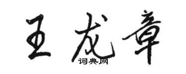 駱恆光王龍章行書個性簽名怎么寫