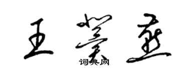 梁錦英王冀燕草書個性簽名怎么寫