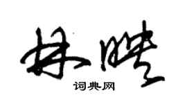 朱錫榮林映草書個性簽名怎么寫