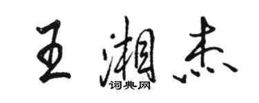 駱恆光王湘傑行書個性簽名怎么寫