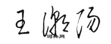 駱恆光王潮陽草書個性簽名怎么寫