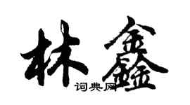 胡問遂林鑫行書個性簽名怎么寫