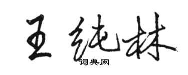 駱恆光王純林行書個性簽名怎么寫