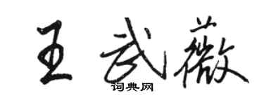 駱恆光王武薇行書個性簽名怎么寫
