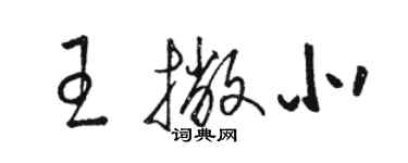 駱恆光王撇北草書個性簽名怎么寫