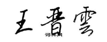 王正良王晉雲行書個性簽名怎么寫