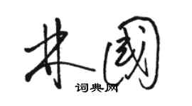 駱恆光林國草書個性簽名怎么寫