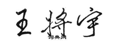 駱恆光王將宇行書個性簽名怎么寫