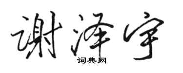 駱恆光謝澤宇行書個性簽名怎么寫