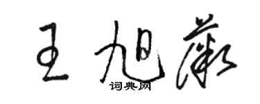 駱恆光王旭薇草書個性簽名怎么寫