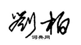 朱錫榮劉柏草書個性簽名怎么寫