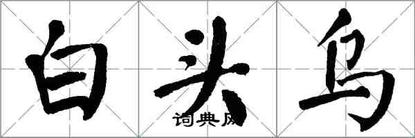 翁闓運白頭烏楷書怎么寫