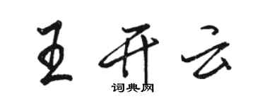 駱恆光王開雲行書個性簽名怎么寫