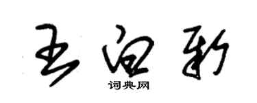 朱錫榮王白新草書個性簽名怎么寫