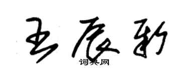 朱錫榮王辰新草書個性簽名怎么寫