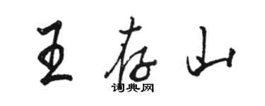 駱恆光王存山行書個性簽名怎么寫