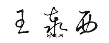 駱恆光王泰西草書個性簽名怎么寫