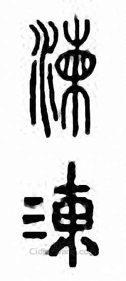 金石大字典的篆刻印章湅