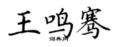 丁謙王鳴騫楷書個性簽名怎么寫