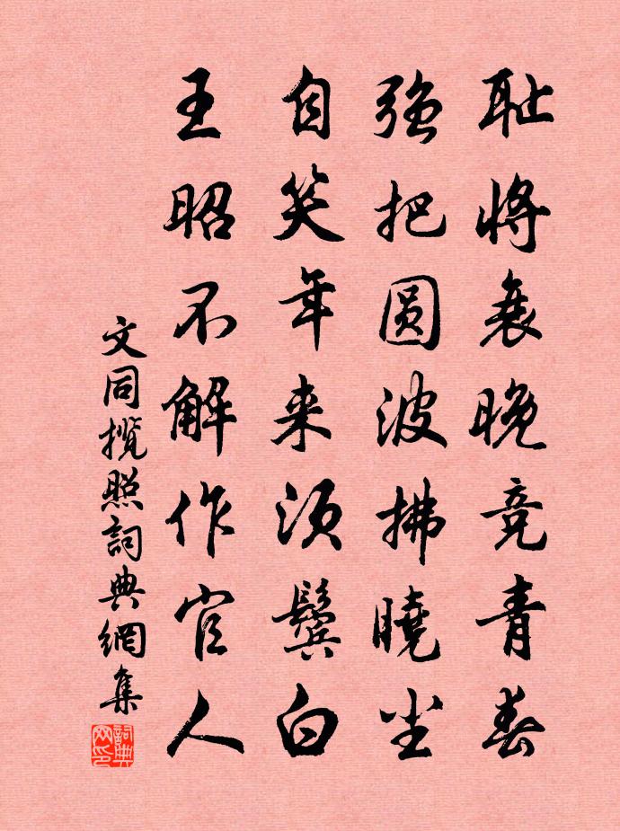 文同攬照書法作品欣賞