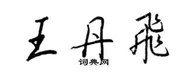 王正良王丹飛行書個性簽名怎么寫