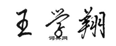 駱恆光王學翔行書個性簽名怎么寫