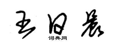 朱錫榮王日晨草書個性簽名怎么寫