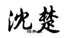 胡問遂沈楚行書個性簽名怎么寫