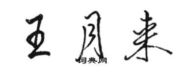 駱恆光王月來行書個性簽名怎么寫